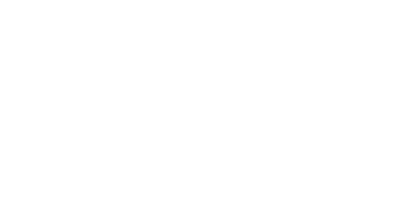 Toss logo